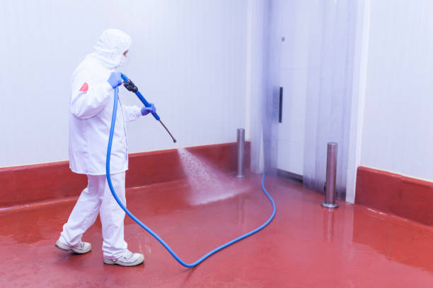 Best Boat and Dock Cleaning  in Eatonton, GA